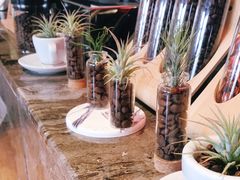 -ZING COFFEE 镜咖啡