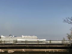 -吴淞炮台湾湿地森林公园烧烤区