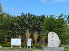 -沙美村