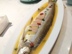 鸡汁白鱼-淮扬韵(凤八市政府店)