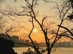 -江心屿景区