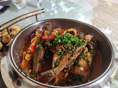 鲜紫苏煮黄骨鱼-T館·花园艺术餐厅