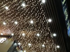 -狐狸和向日葵(北京路店)