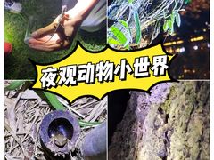 -中国科学院华南植物园