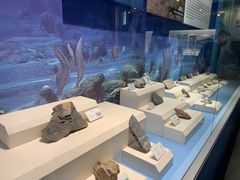 -辽宁古生物博物馆