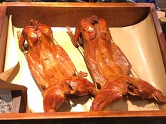 -燕郊烧鸽子(广安路店)