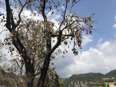 -丹山赤水风景名胜区