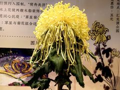 -汇龙潭