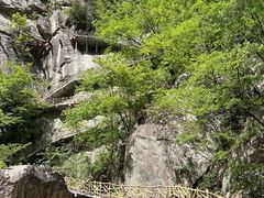 -洛阳白云山景区