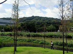-牛岗山公园
