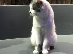 -极木²邸 人与宠物·互动社区
