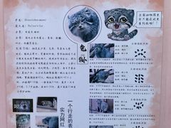 -青藏高原野生动物园