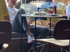 -the rug 飞毯 (朝阳公园店)