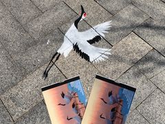 -盐城丹顶鹤湿地生态旅游区