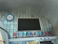 -烟台海昌鲸鲨海洋公园