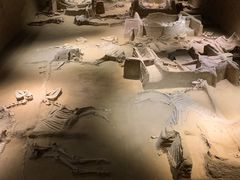 -洛阳周王城天子驾六博物馆