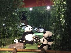 -成都泰迪熊博物馆