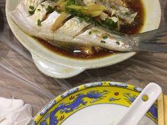 -老品芳
