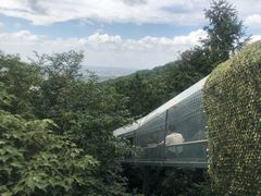 -华西村