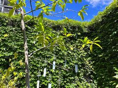 -肴约·花园式餐厅(湖里店)