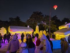 -长春市南湖公园