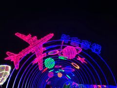 -空港花田景区