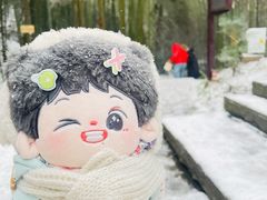 -缙云山景区