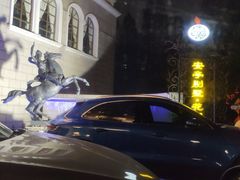 -上海安亭别墅花园酒店