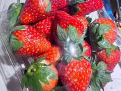 -城市批发中心(芙蓉汉城店)