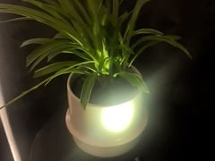-虹之森·小馆