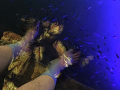 -宝丽金大酒店·洗浴中心