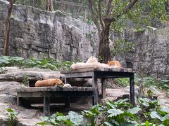 -广州长隆野生动物世界