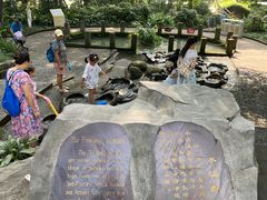 -成都市活水公园