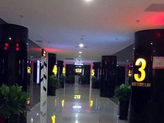 -卢米埃影城(长楹天街IMAX激光店)
