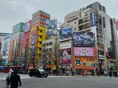 -秋叶原电器街