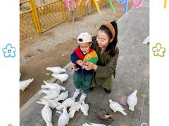 -1982农场