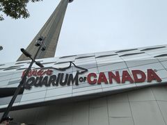 -瑞普利水族馆
