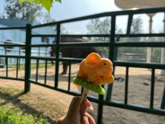 -秦皇岛野生动物园