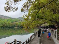 -白马涧龙池景区