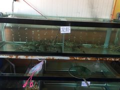 -QQ海鲜餐厅