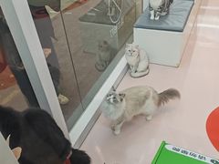 -福田卓悦INTOWN购物中心