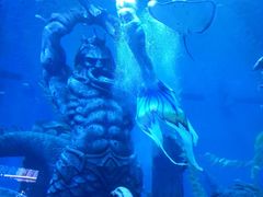 -哈尔滨波塞冬海底世界