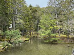 -西芳寺(苔寺)