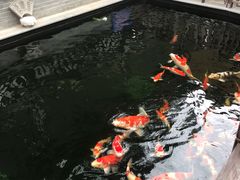 -华庭苑农家乐(旺山店)