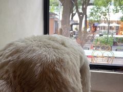 -漆黑觉米粉(三里屯店)