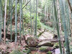 -莫干山风景区