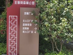 -王借岗森林公园