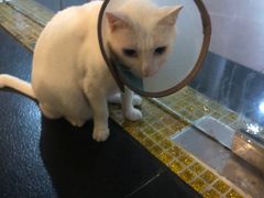 -Doors独立剧情密室(东门分店)