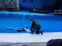 -华夏文旅海洋公园