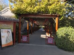 -有喜胶东小馆(太申祥和店)